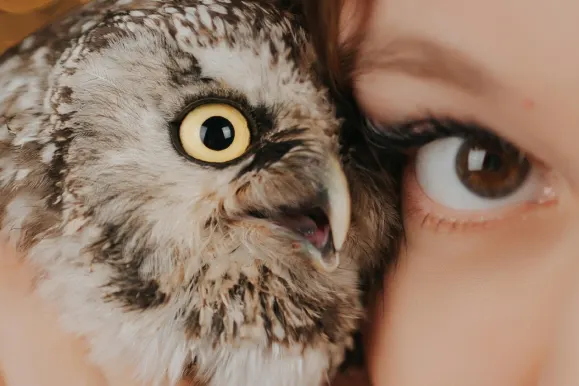 AllStar Slots Casino Support